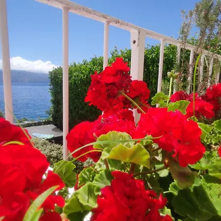 Guest house Halgoduria 2*